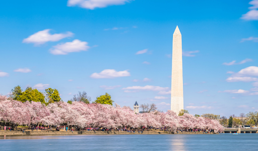 How Can I book Qatar airways Business class flight to Washington dc