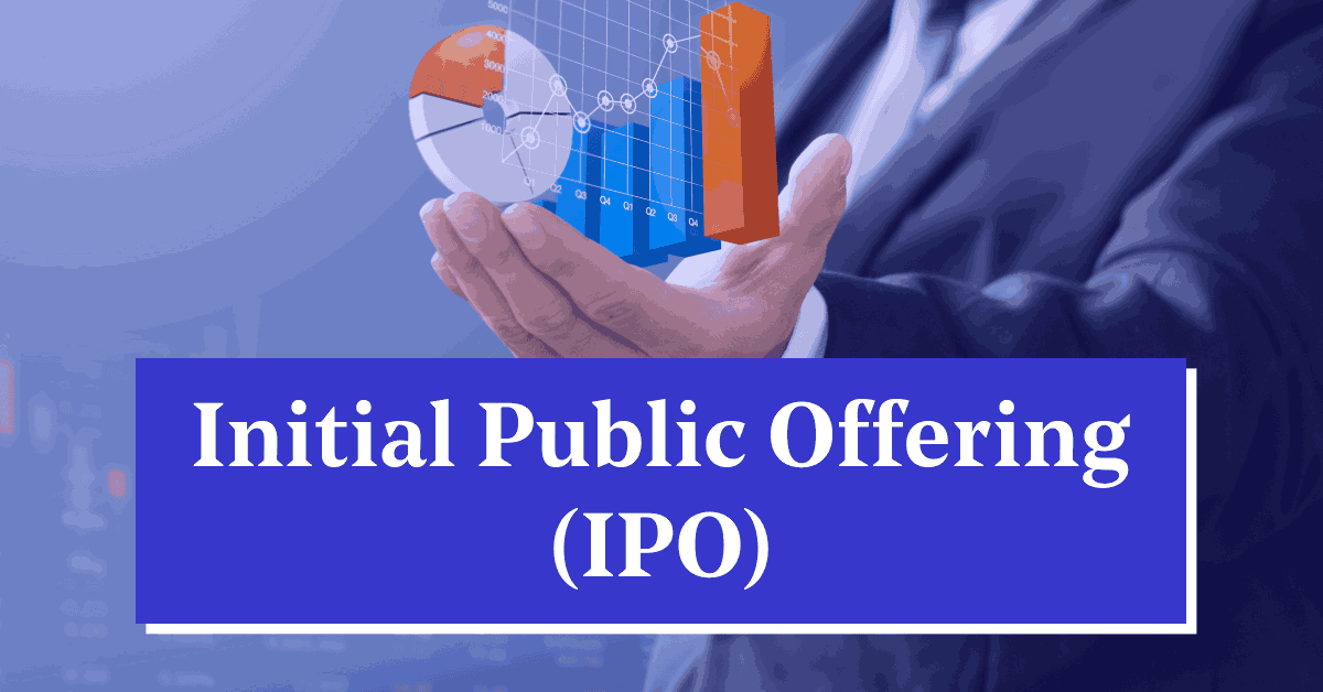 What Types of Initial Public Offering Can Private Companies Launch