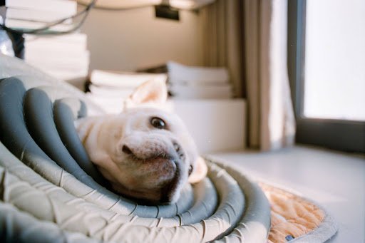 Why Hyperbaric Oxygen Therapy Matters More Than You Think