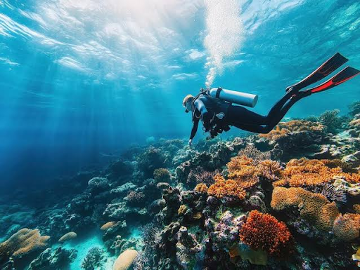 What to Expect on a Fun Dive in Koh Lipe