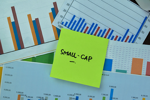SIP in Small Cap Funds: How to Stay Calm When NAV Drops 30% in a Month